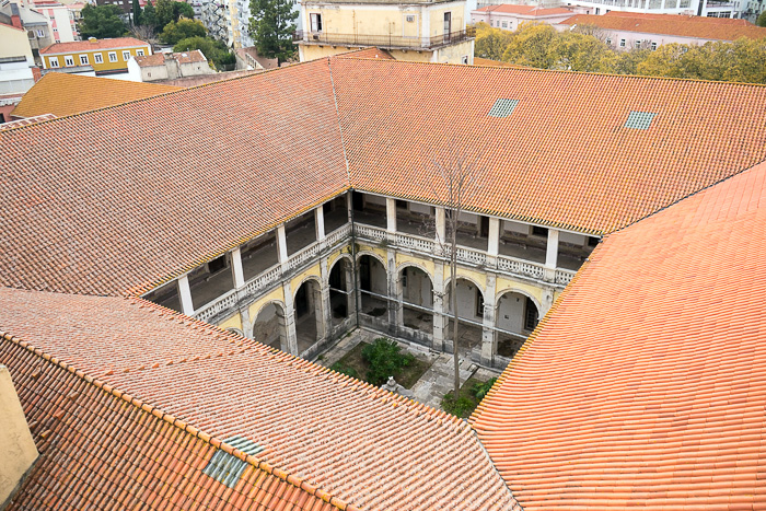 18 Basilica Jardim de Estrela DSC04287