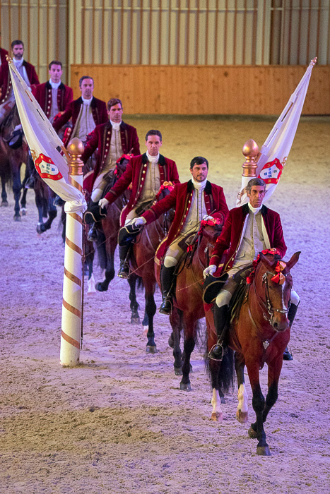 Portuguese School of Equestrian Art