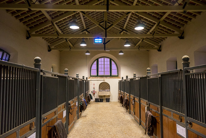 Portuguese School of Equestrian Art