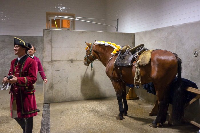 24 Portuguese School of Equestrian Art DSC07530