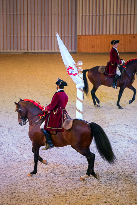 25 Portuguese School of Equestrian Art DSC07546