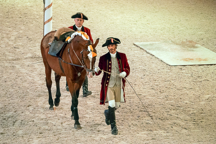 27 Portuguese School of Equestrian Art DSC07566