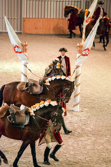 28 Portuguese School of Equestrian Art DSC07572