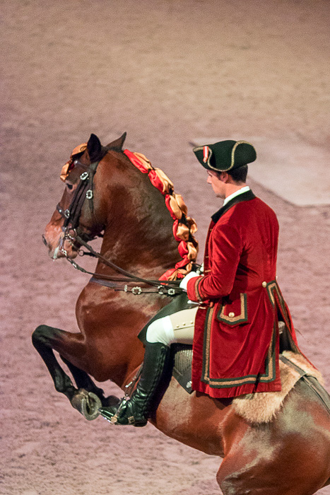 29 Portuguese School of Equestrian Art DSC07578