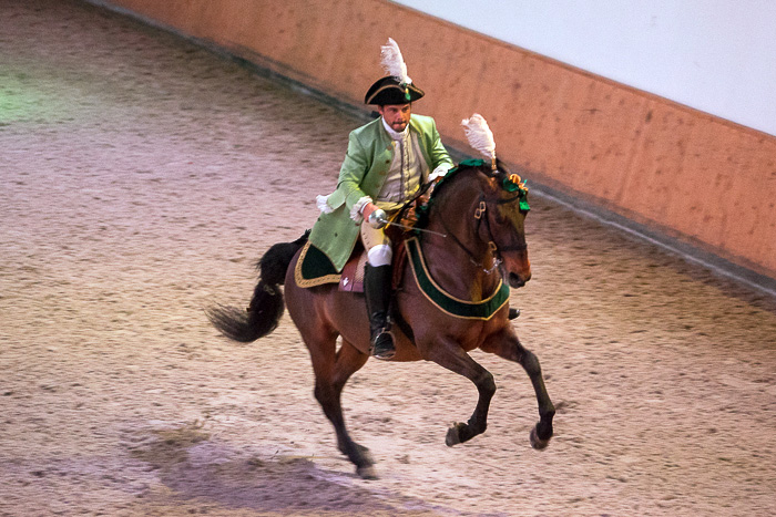 30 Portuguese School of Equestrian Art DSC07593