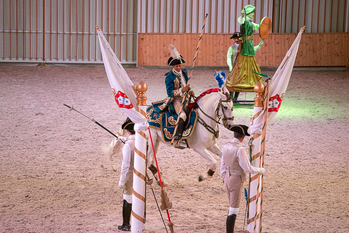 31 Portuguese School of Equestrian Art DSC07596