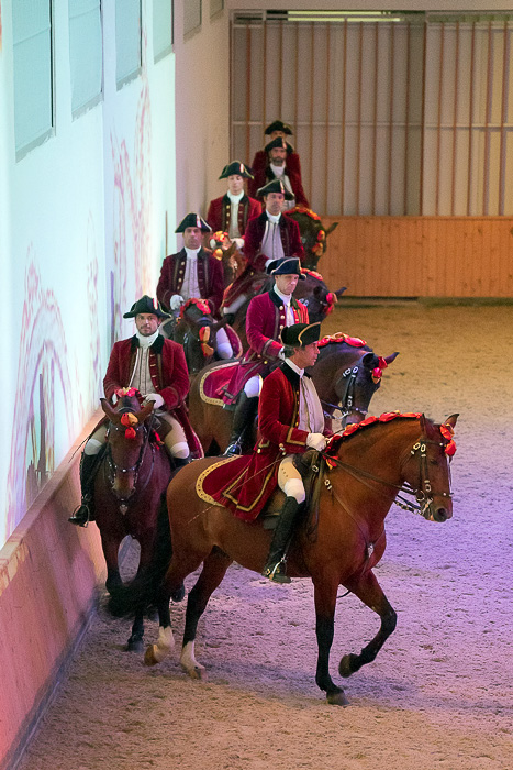 32 Portuguese School of Equestrian Art DSC07619