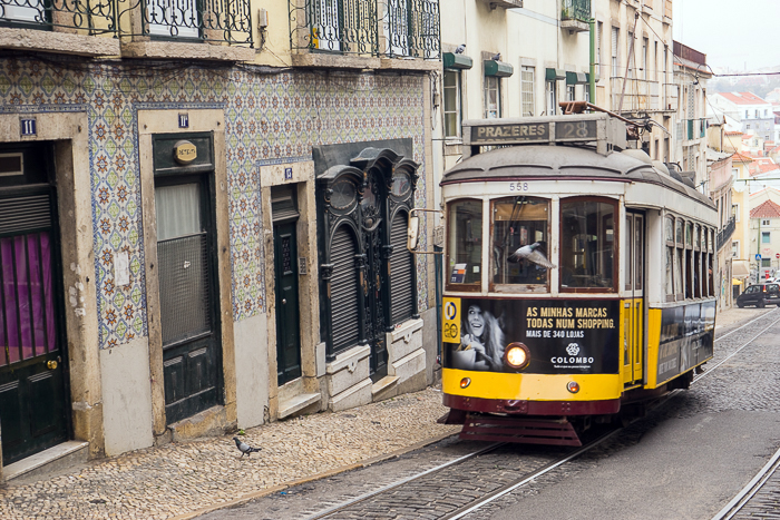 12 Trams Of Lisbon DSC03943