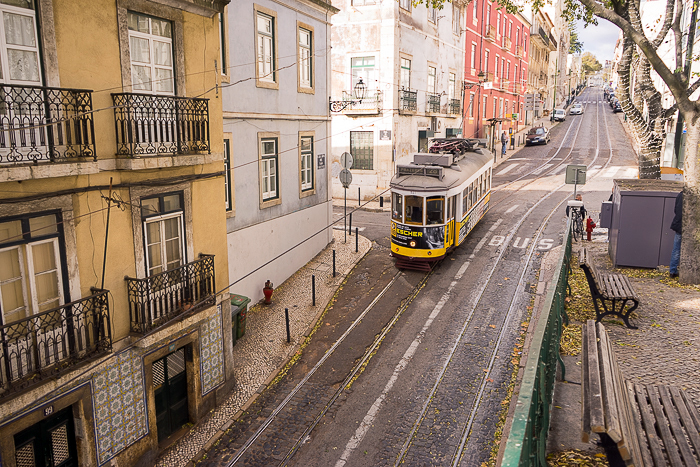 17 Trams Of Lisbon DSC05292