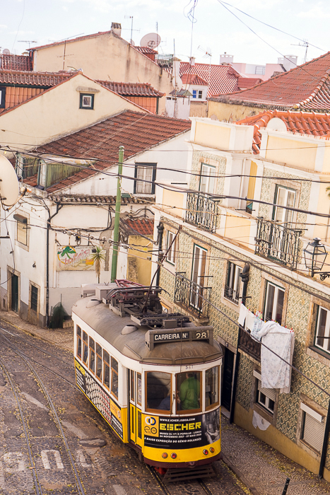 19 Trams Of Lisbon DSC05297