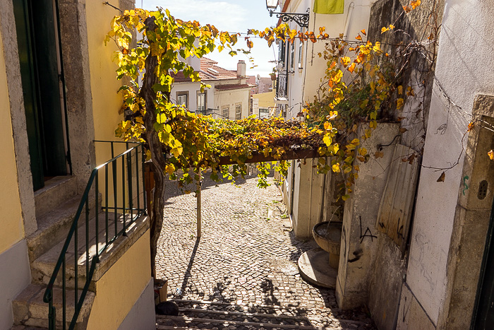 19 Alfama Lisbon DSC08354 1