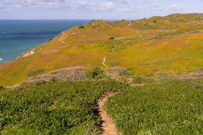 Cabo da Roca