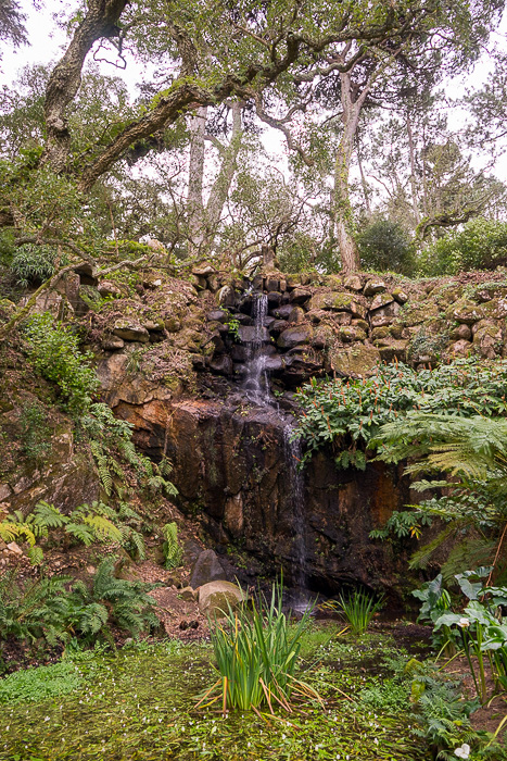 03 Palace of Monserrate Sintra DSC06260