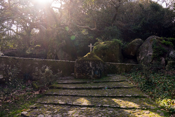 04 Convento dos Capuchos Sintra DSC06432