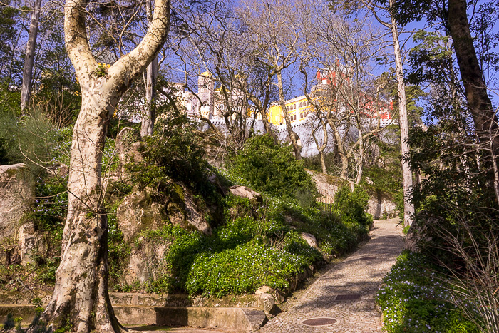 05 Sintra Pena Palace DSC05815