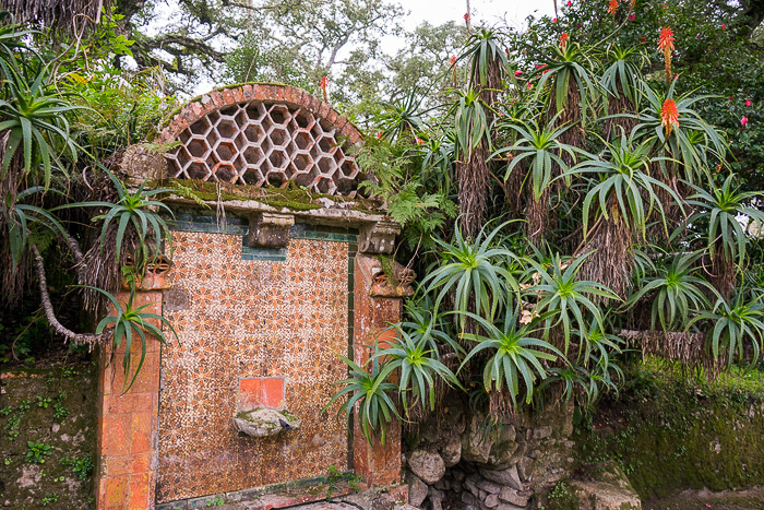 06 Palace of Monserrate Sintra DSC06263