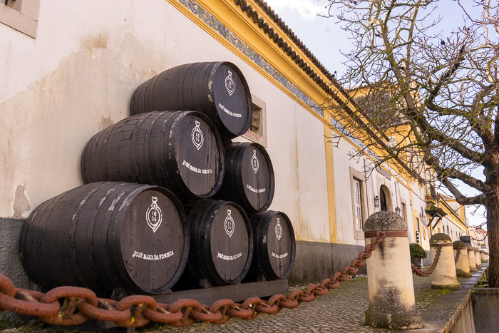 07 Azeitao And Bacalhoa Winery DSC04561