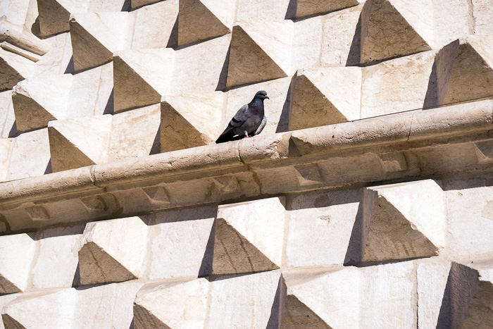 The Casa dos Bicos and the José Saramago Foundation - Lisbon For