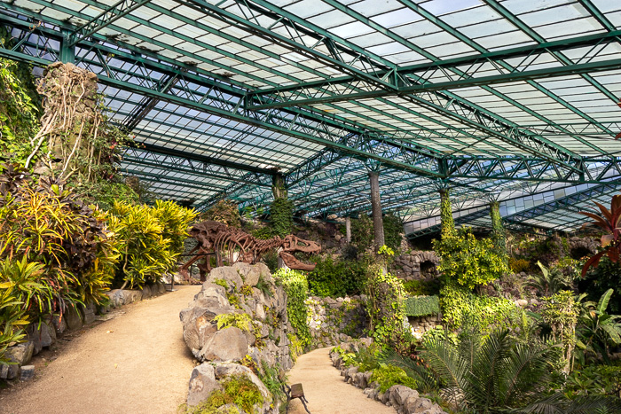 Read more about the article The Estufa Fria Covered Botanic Garden