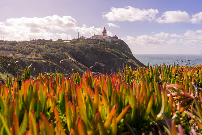 13 Cabo da Roca DSC06977