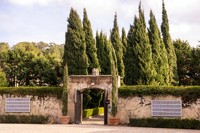 22 Azeitao And Bacalhoa Winery DSC04632