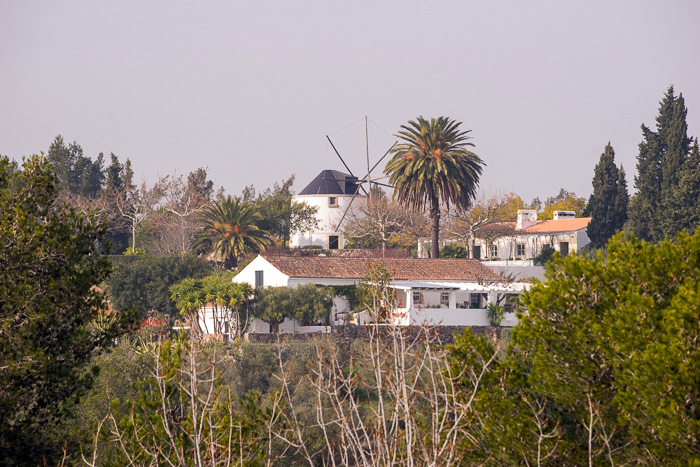 25 Setubal Port and Castle DSC04413