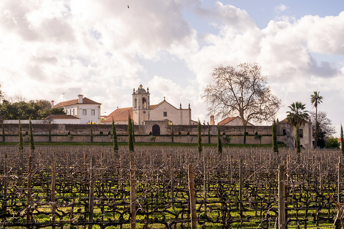 26 Azeitao And Bacalhoa Winery DSC04643