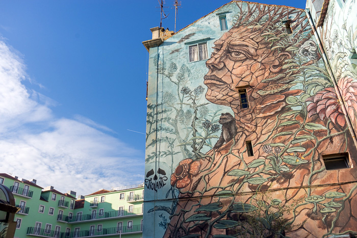 30 Street Art In Lisbon DSC06355