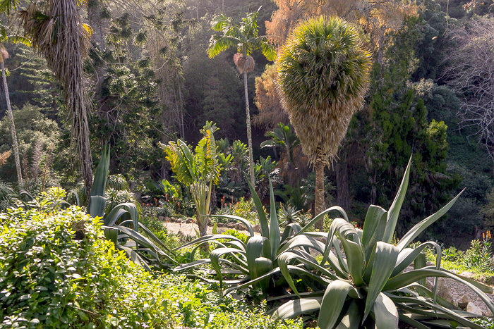 50 Palace of Monserrate Sintra DSC06380