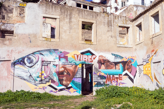 73 Street Art In Lisbon DSC07125